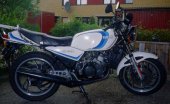 1981 Yamaha RD 350 photo